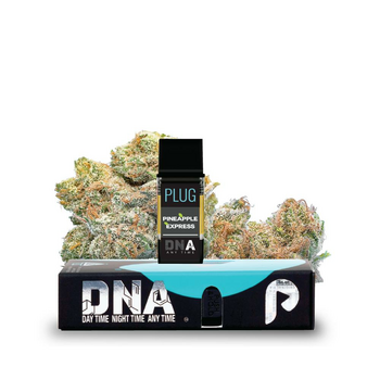 VAPE - 1g PLUG™ DNA: Pineapple Express