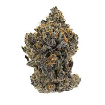 Orange Leaf Carbon 28G