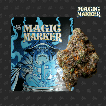 MAGIC MARKER - 3.5G