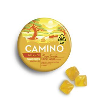 Camino 5:5 Mango Serenity CBD 