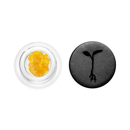 Orange Juice Jones #6 Live Resin