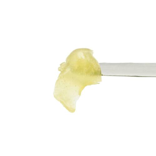 Queens Zugar Cookie #9 | T3 Live Rosin | 1g