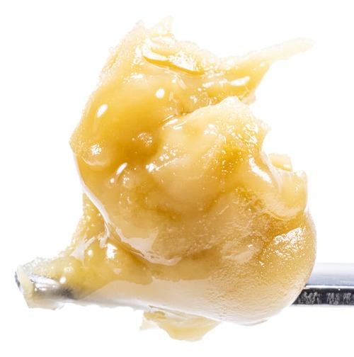 Motorbreath x Banana Punch - Live Rosin Cold Cure Badder - T3