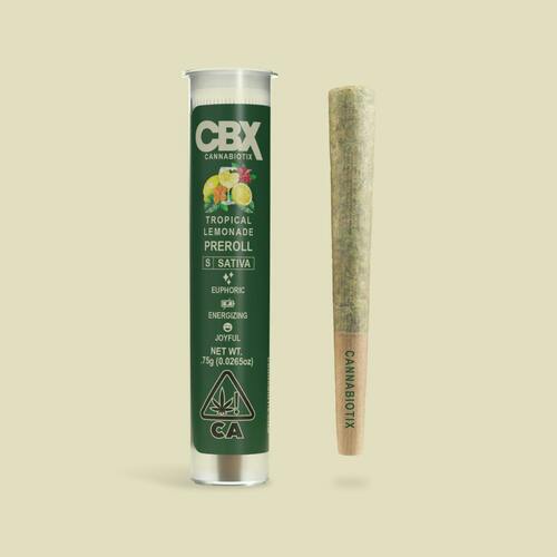 Tropical Lemonade Preroll [0.75g]